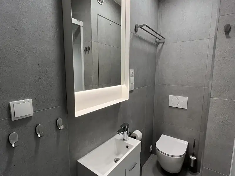 Pronájem bytu 1+1 40 m², Liberec – náhled fotky 2