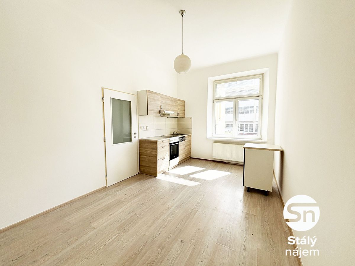 Pronájem bytu 1+1 55 m² – fotografie 5