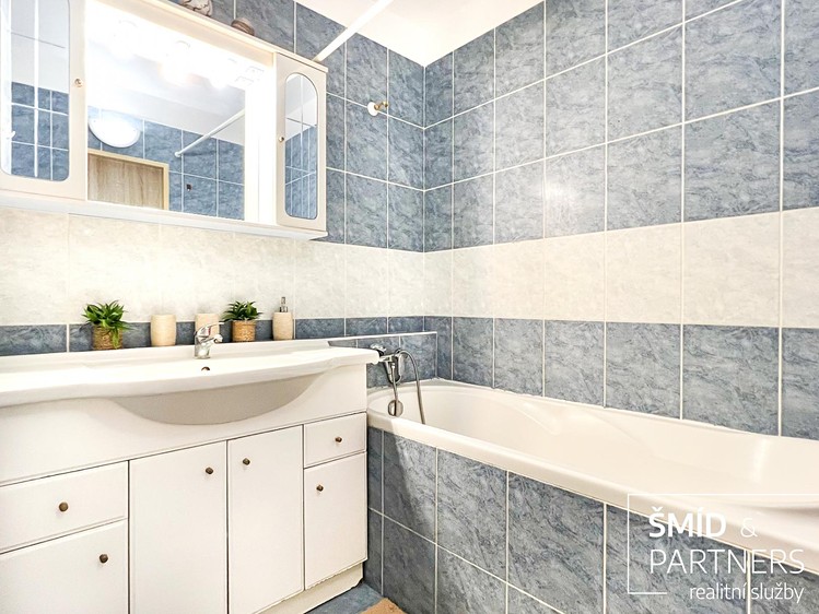 Prodej bytu 3+1, 72 m² (13 z 32)
