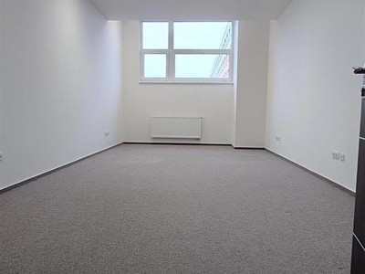 Pronájem komerčního prostoru, 31 m² (2 z 11)