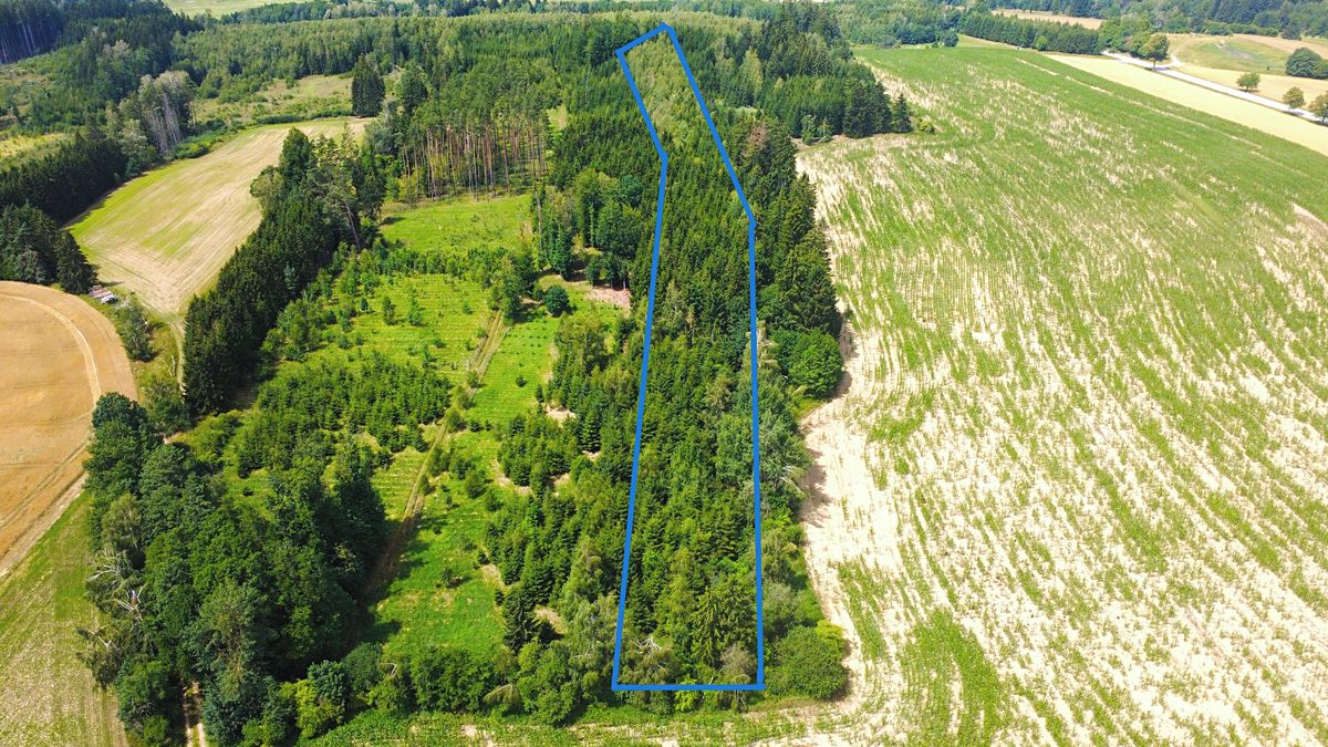Prodej lesa 19519 m² – fotografie 3