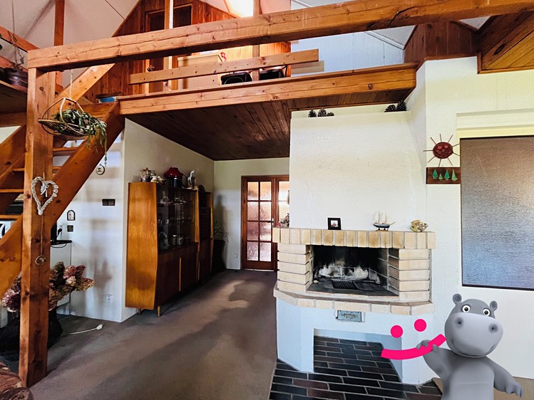 Prodej domu, 446 m² (16 z 29)