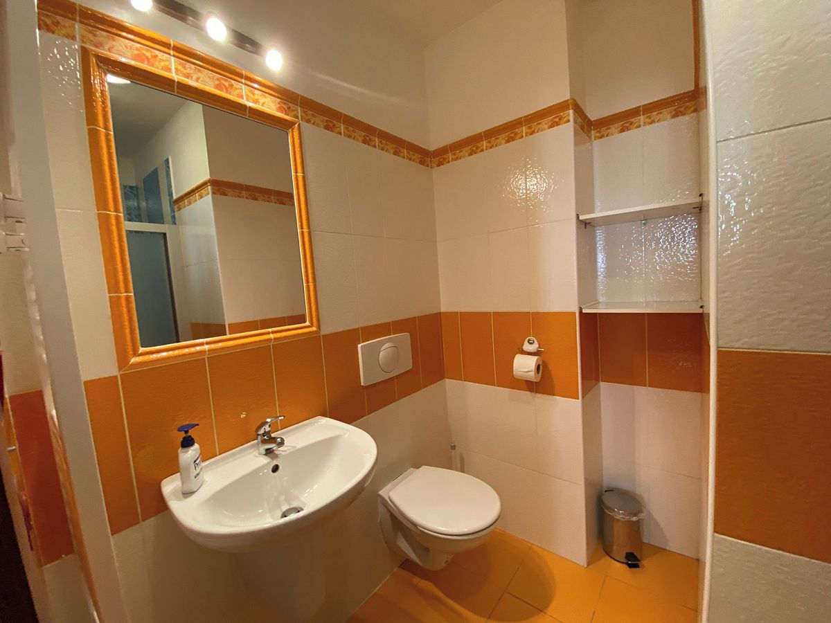 Pronájem bytu 1+1 40 m² – fotografie 4