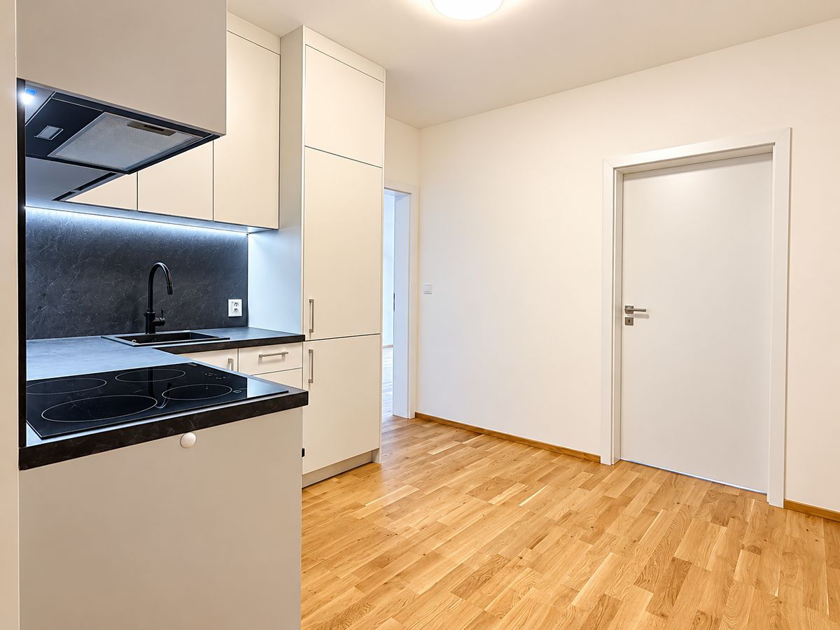 Pronájem bytu 2+1 53 m² – fotografie 2