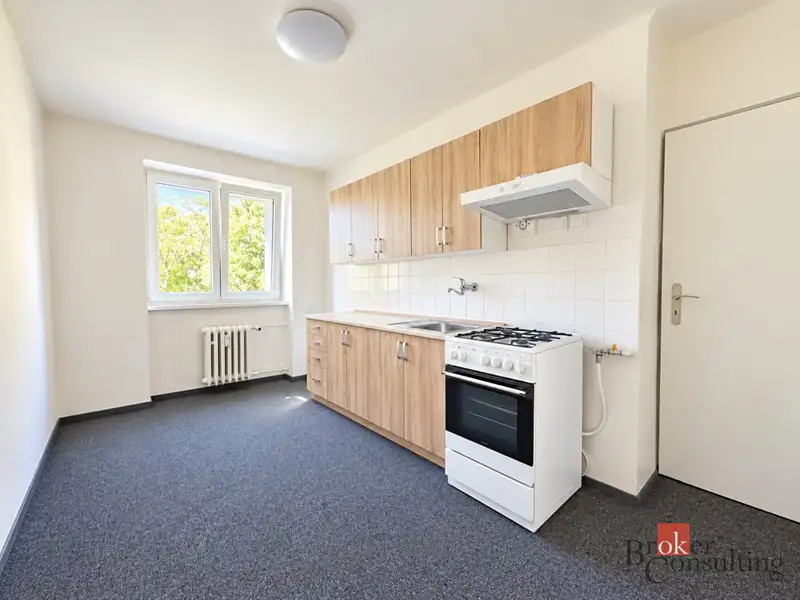 Pronájem bytu 2+1 62 m², Plzeň – náhled fotky 2