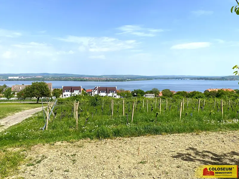 Prodej stavebního pozemku 1132 m², Pavlov – náhled fotky 3
