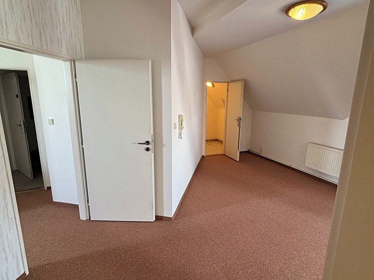 Wohnung 5+kk zur Miete, 120 m² (4 von 13)