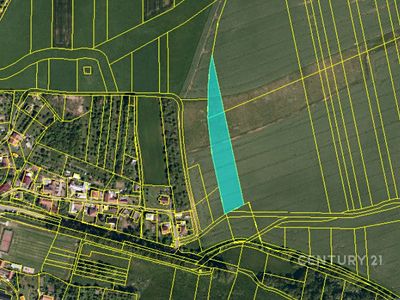 Prodej pole 6619 m²