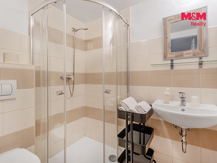 Prodej komerčního prostoru, 300 m² (27 z 30)