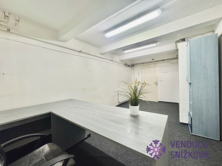 Pronájem komerčního prostoru, 15 m² (2 z 3)