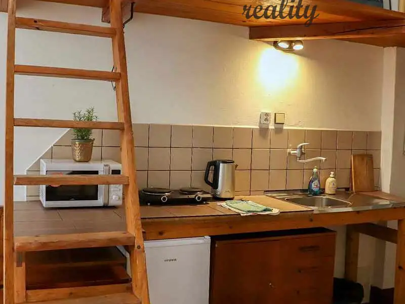 Pronájem bytu 1+1 31 m², Praha – náhled fotky 3