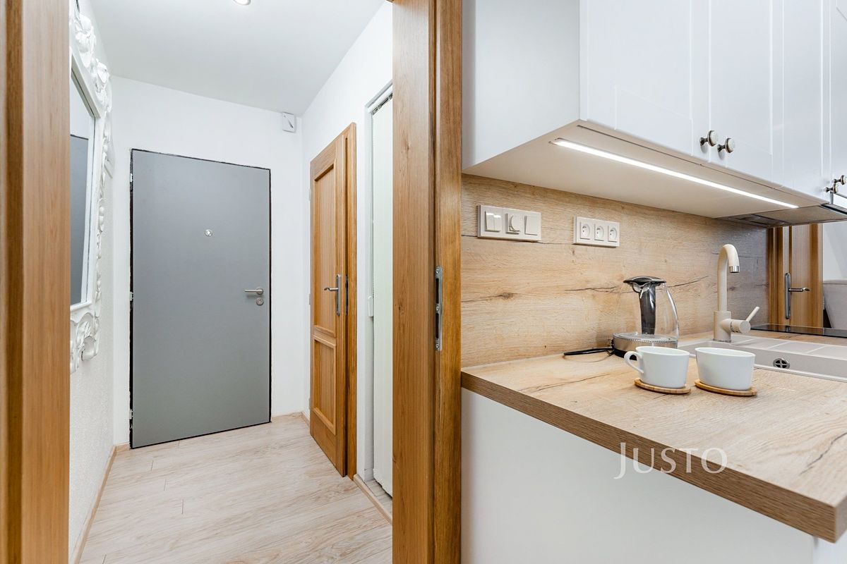 Pronájem bytu 1+kk 32 m² – fotografie 4