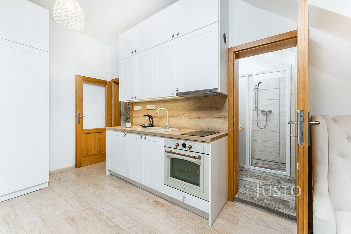 Pronájem bytu 1+kk 32 m² – fotografie 3