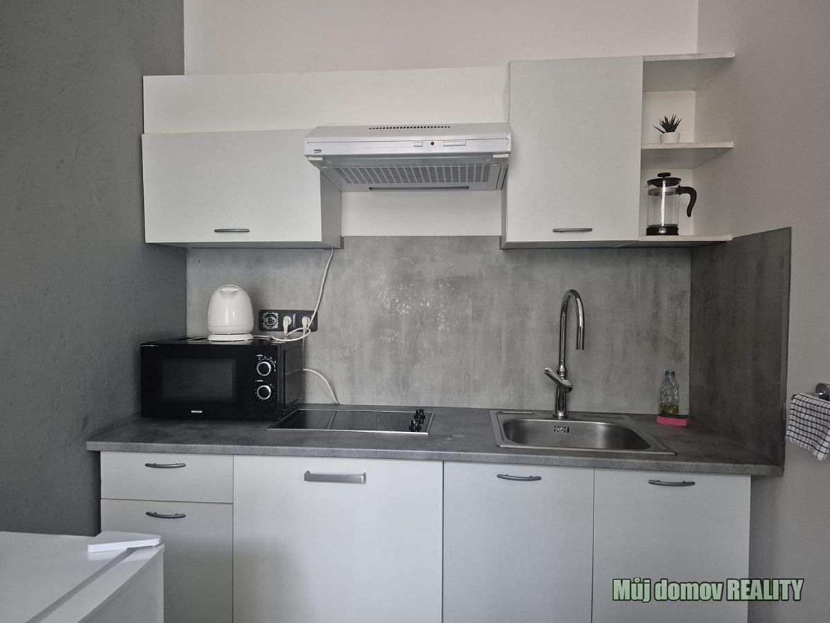 Pronájem bytu 1+1 40 m²