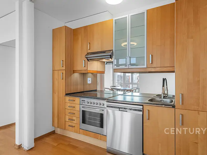 Pronájem bytu 2+kk 54 m², Praha – náhled fotky 2