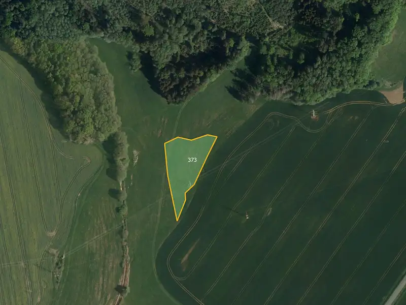 Prodej pole 41424 m², Třemošnice – náhled fotky 3