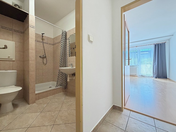 Wohnung 1+kk zur Miete, 32 m² (11 von 19)