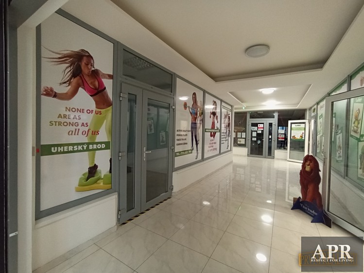 Pronájem komerčního prostoru, 150 m² (4 z 5)