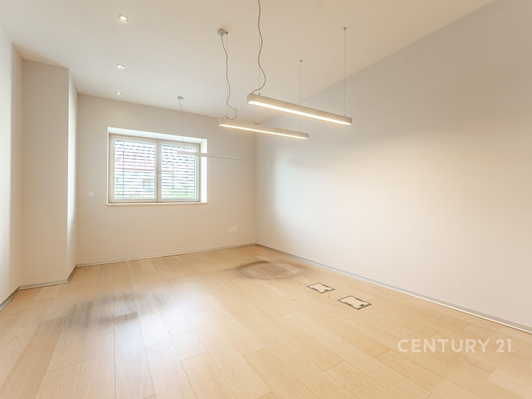 Pronájem komerčního prostoru, 115 m² (13 z 34)