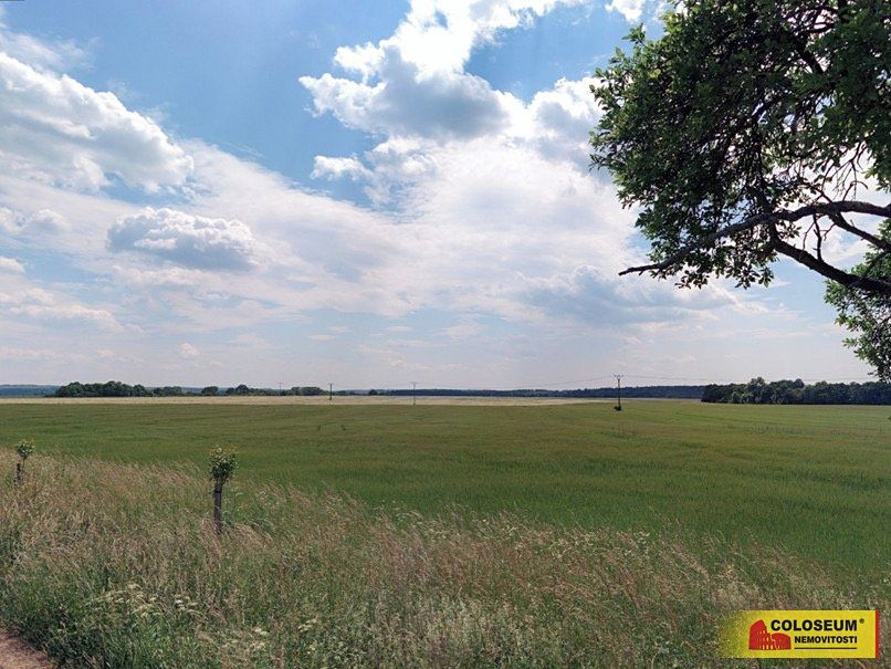 Prodej pole 12004 m², Sloup – fotka 1 z 3