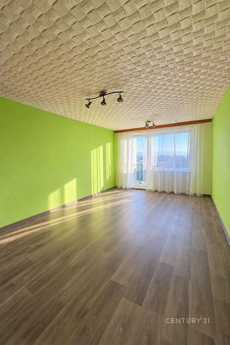 Prodej bytu 1+1 45 m² – fotografie 4