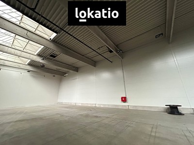 Комерційне приміщення в оренду, 711 м² (3 з 3)