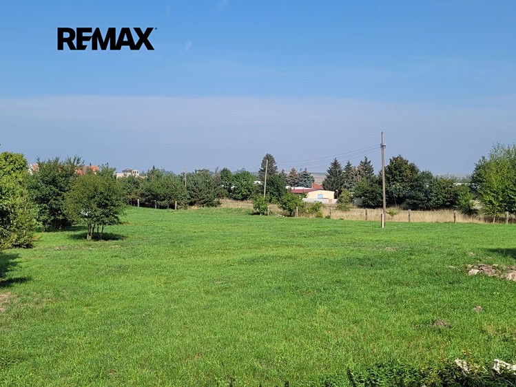 Ділянка на продаж, 6 258 м² (7 з 9)