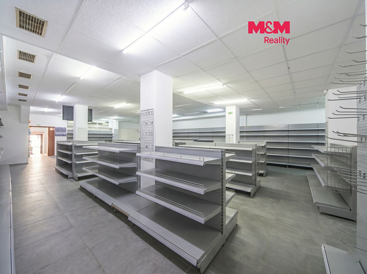 Pronájem obchodního prostoru 263 m²