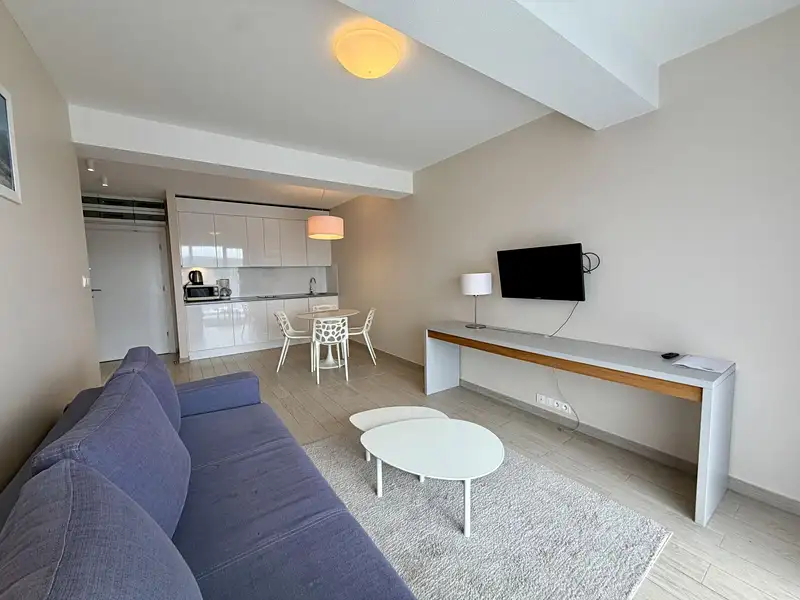 Prodej bytu 2+kk 40 m², Dolní Morava – náhled fotky 2