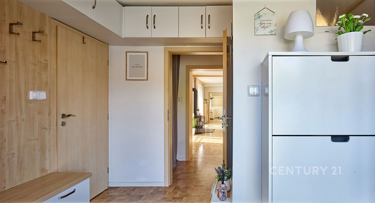 Prodej rodinného domu 260 m², pozemek 457 m² – fotografie 4