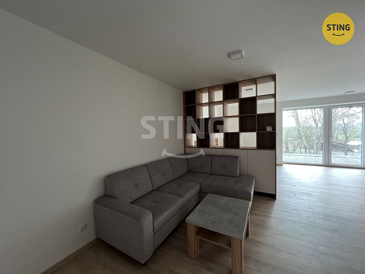 Pronájem bytu 1+kk 60 m² – fotografie 3