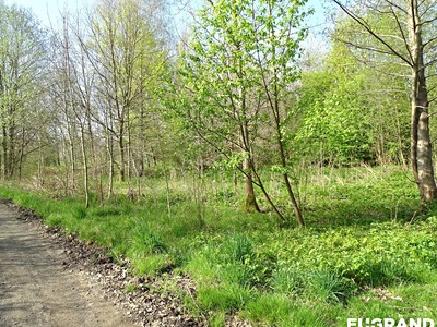 Grundstück zum Kauf, 800 m² (3 von 4)