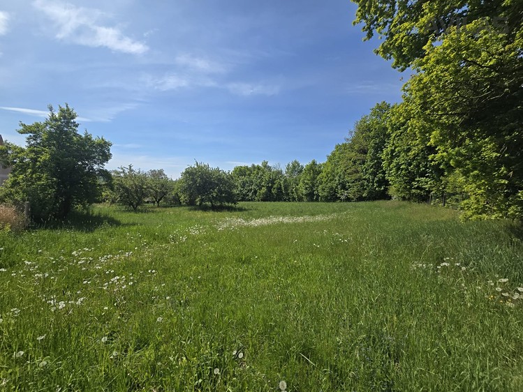 Ділянка на продаж, 731 м² (3 з 10)