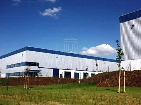Pronájem skladového prostoru 6000 m² – fotografie 3