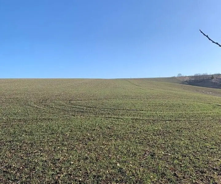 Prodej stavebního pozemku 502 m², Heršpice – náhled fotky 2