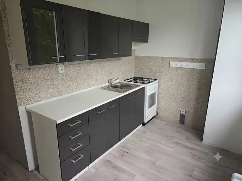 Pronájem bytu 2+1 53 m², Chomutov – náhled fotky 1