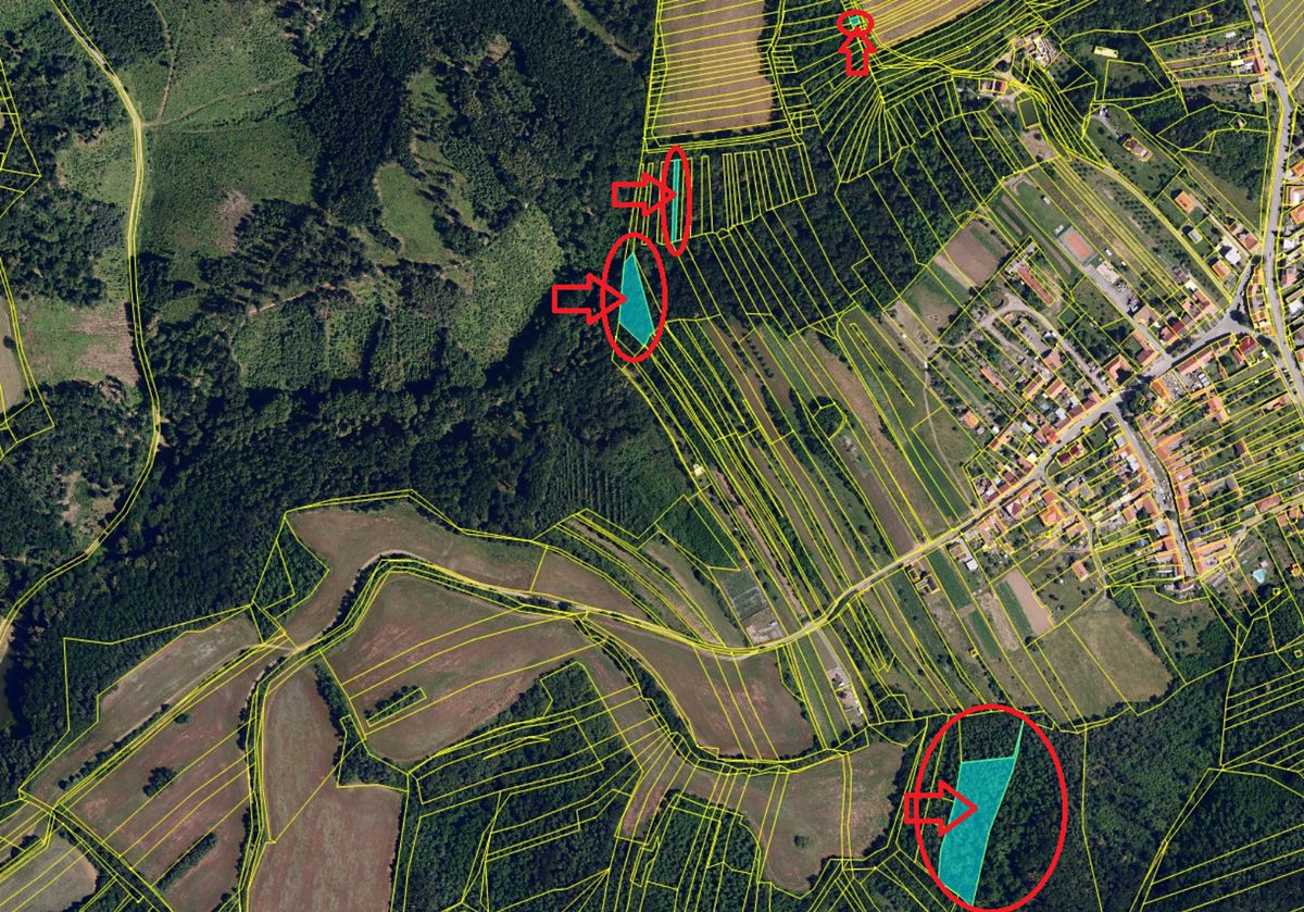 Prodej lesa 7201 m² – fotografie 2