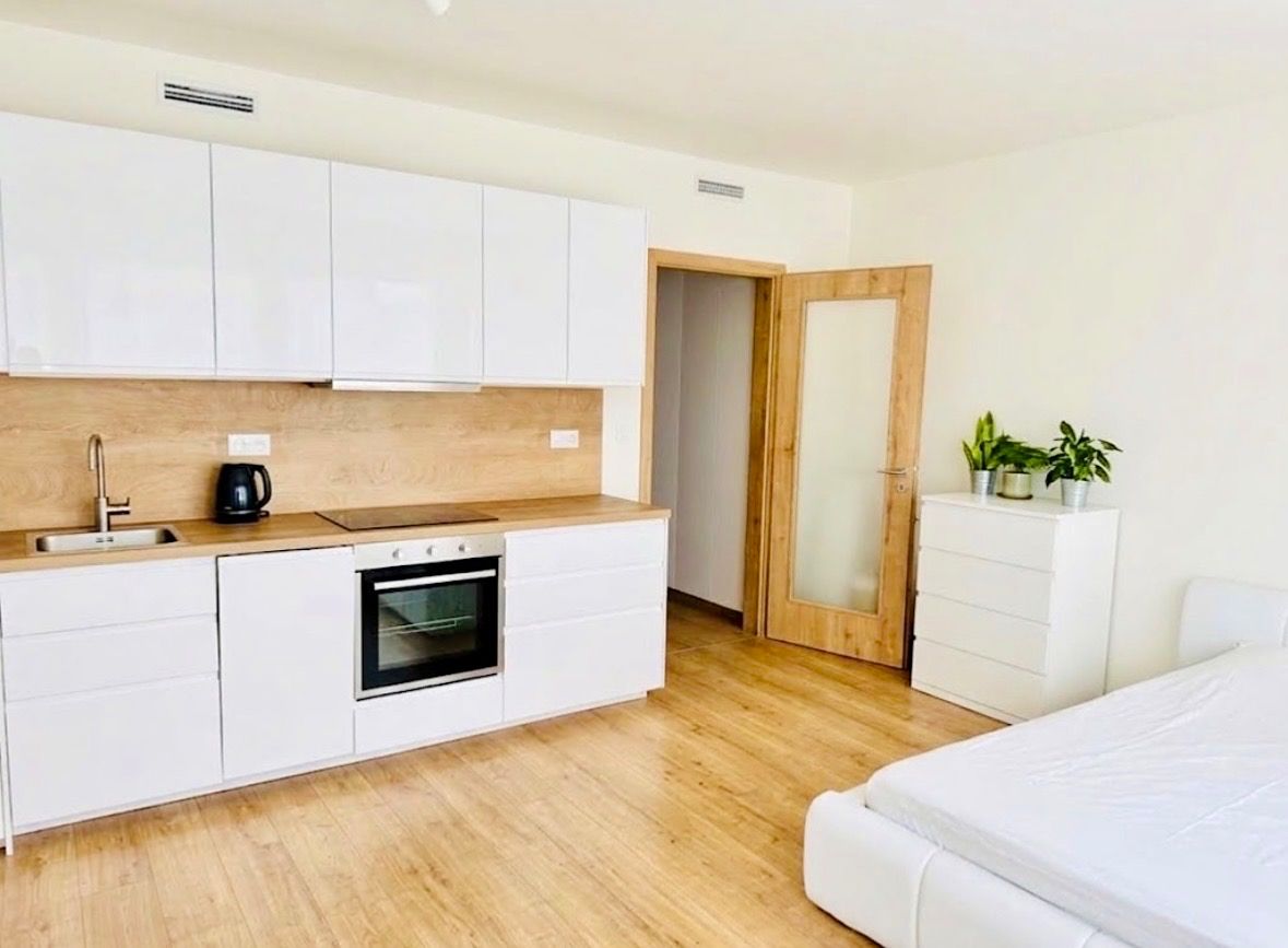 Pronájem bytu 1+kk 36 m²