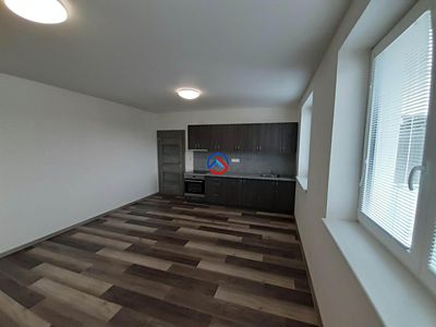 Pronájem bytu 1+kk 42 m²