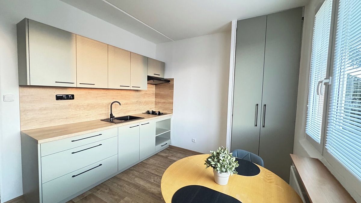 Pronájem bytu 1+1 36 m²