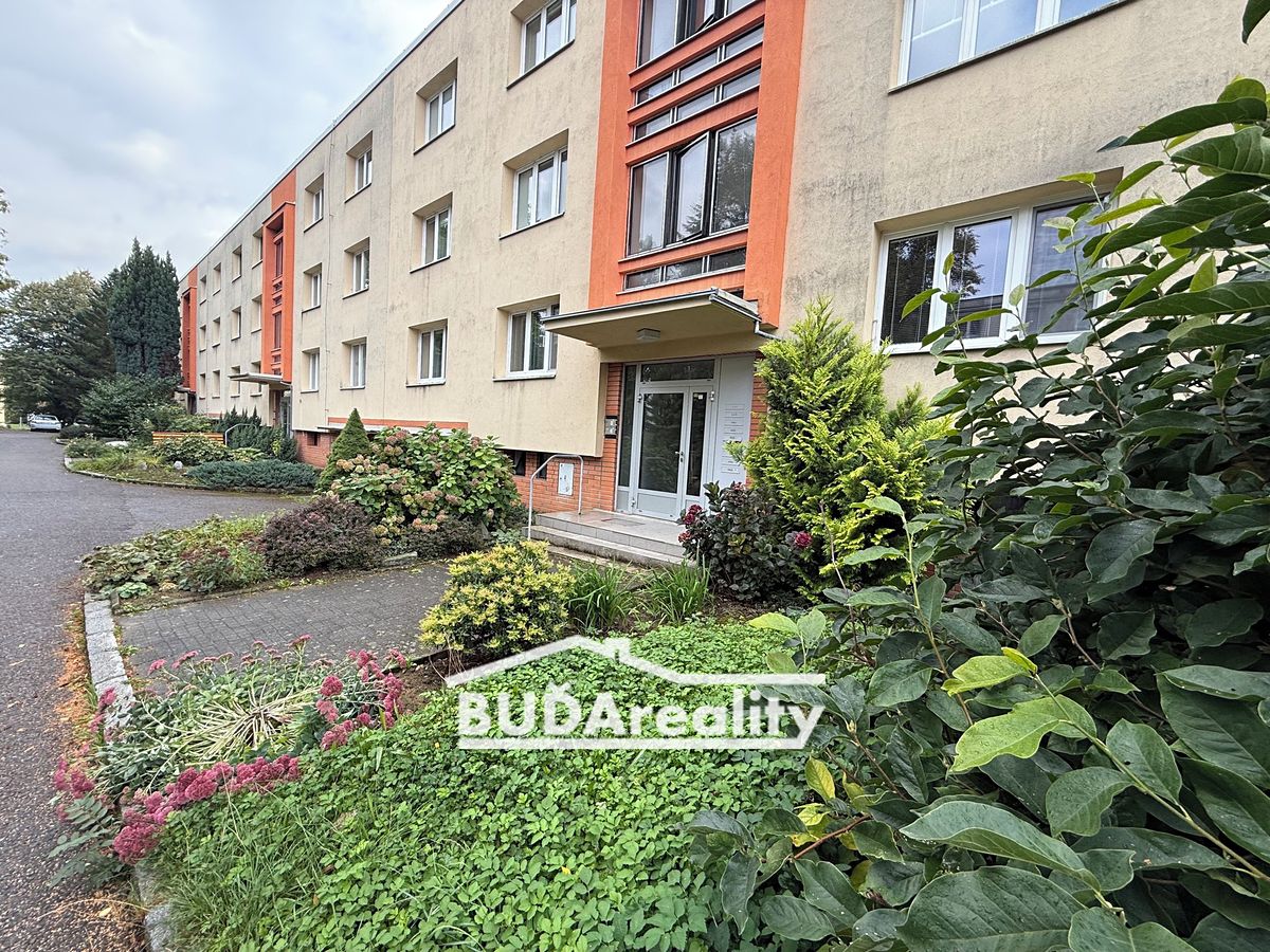 Pronájem bytu 1+1 43 m²