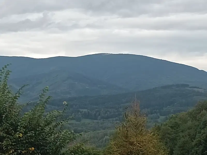 Prodej stavebního pozemku 8800 m², Jeseník – náhled fotky 1