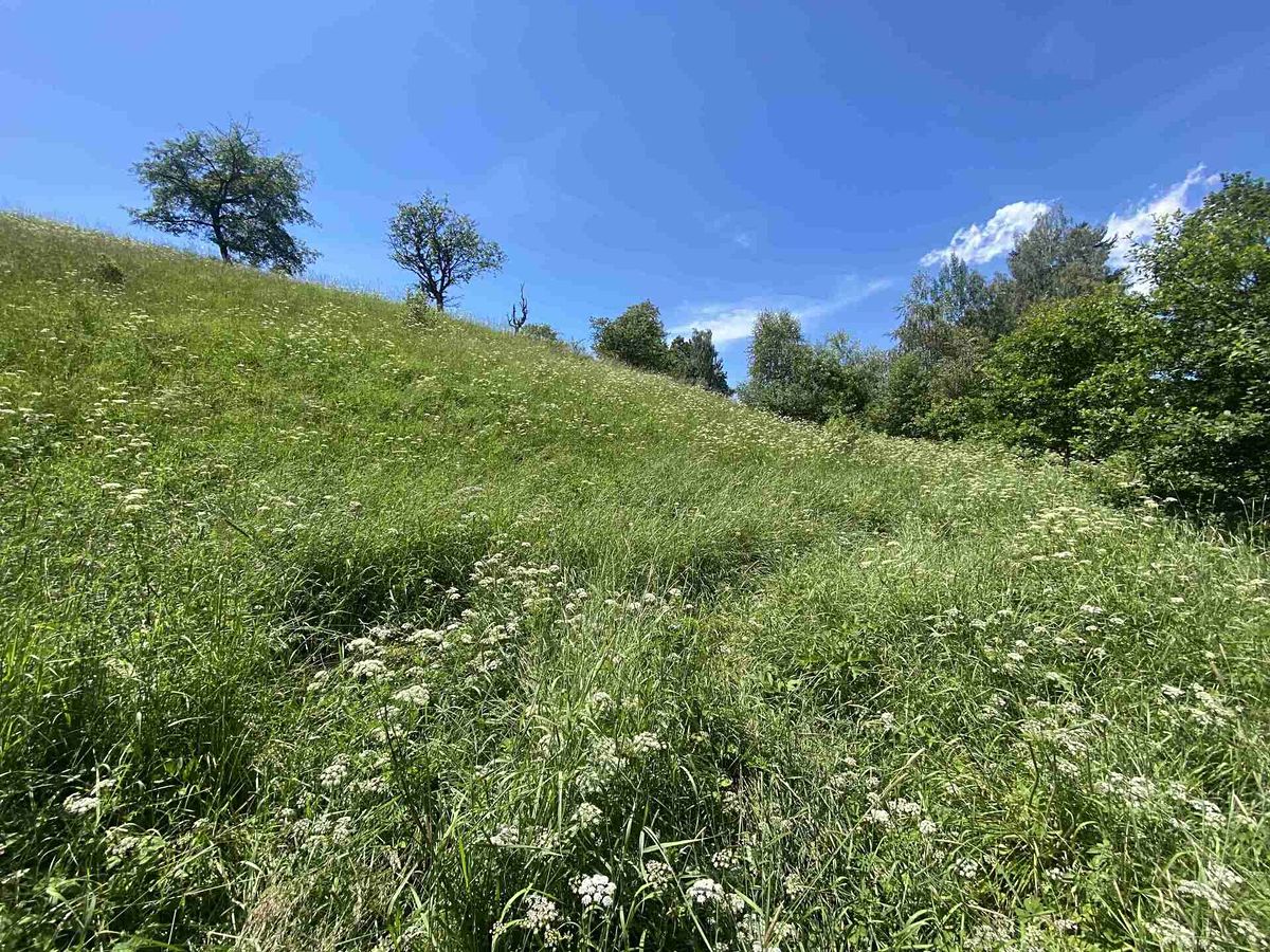 Prodej pole 5634 m² – fotografie 3