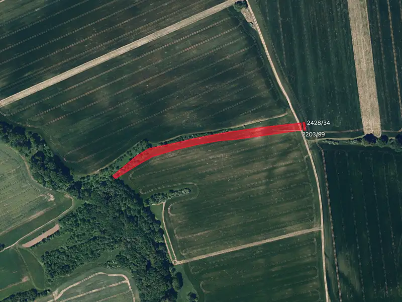 Prodej pole 5618 m², Kněžpole – náhled fotky 1