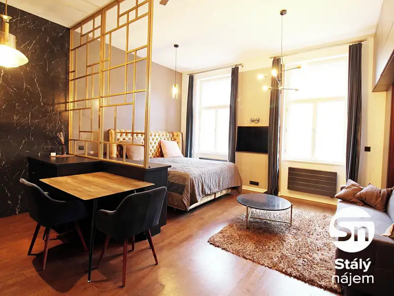 Pronájem bytu 1+kk 41 m², Praha – náhled fotky 2