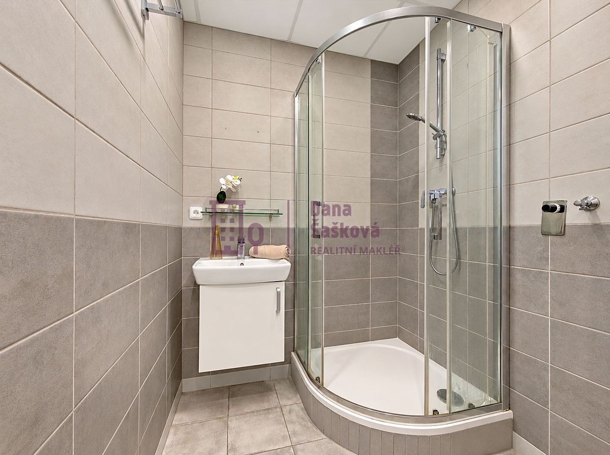 Prodej bytu 1+1 42 m² – fotografie 3