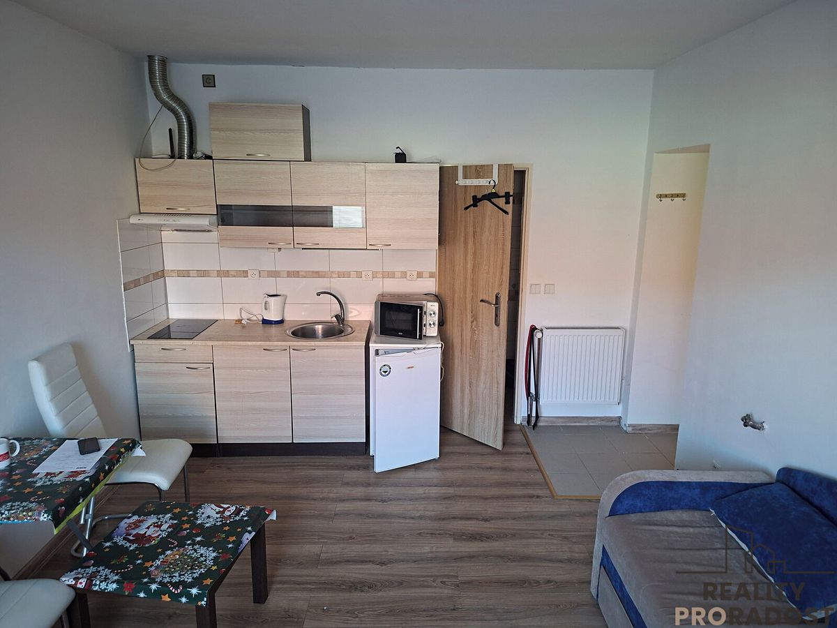 Pronájem bytu 1+kk 25 m²