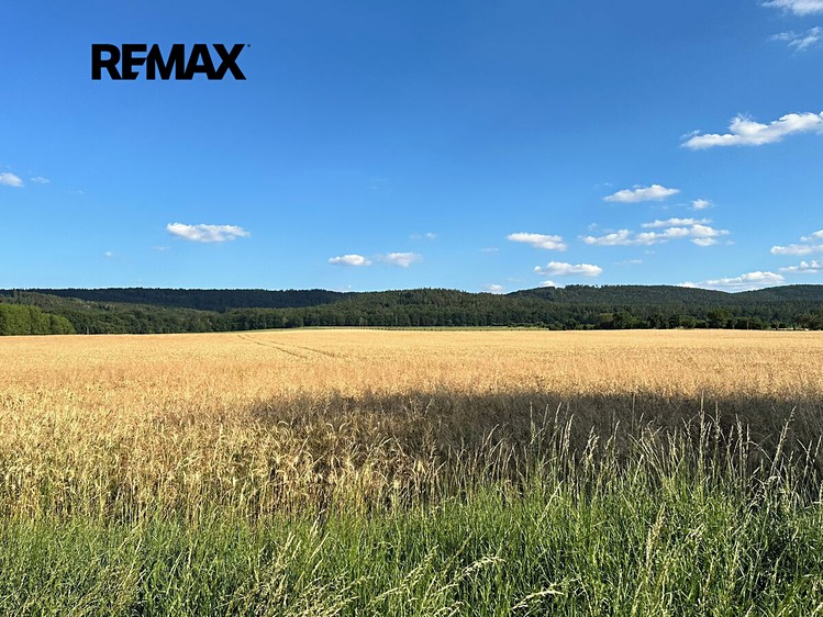 Grundstück zum Kauf, 981 m² (9 von 12)