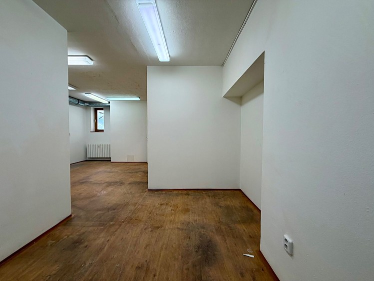 Pronájem komerčního prostoru, 150 m² (11 z 12)