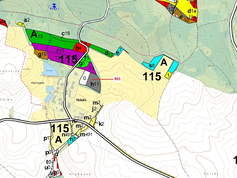 Dražba lesa 8233 m², Sruby – náhled fotky 3